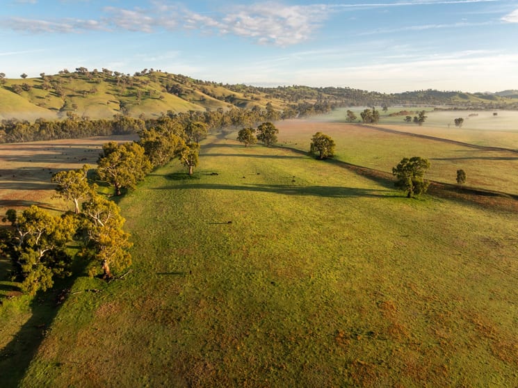 741 Darbalara Road Coolac NSW 2727 - Image 2
