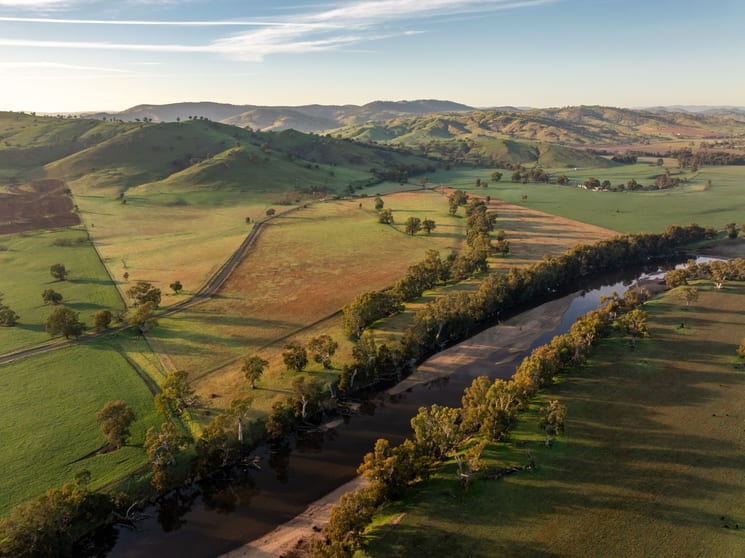 741 Darbalara Road Coolac NSW 2727 - Image 3