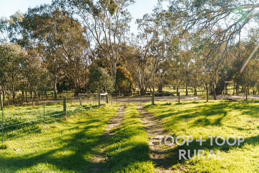 Lot/197 Craneford Road Flaxman Valley SA 5235 - Image 3