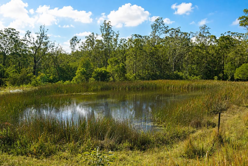 Click to view all images Lot 105 97 Long Gully Road Drake NSW 2469 - Image 2