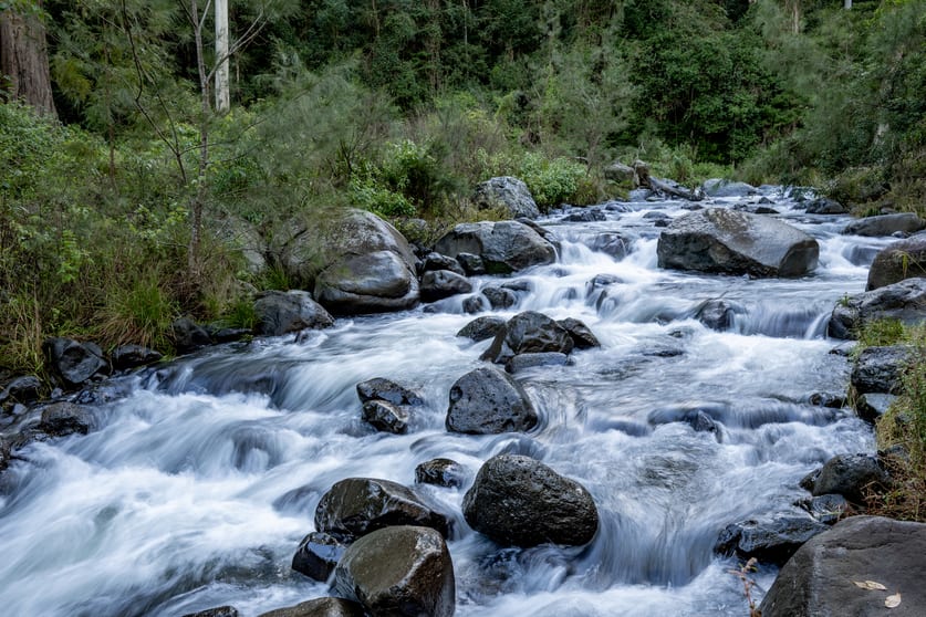3077 Christmas Creek Road Lamington QLD 4285 - Image 2