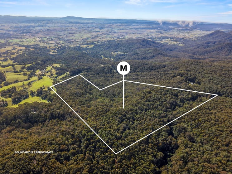 Click to view all images Lot 35 Myrtle Mountain Road Candelo NSW 2550 - Image 2