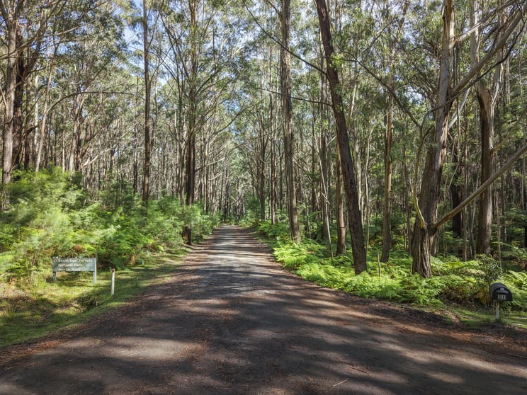 Click to view all images Lot 35 Myrtle Mountain Road Candelo NSW 2550 - Image 3