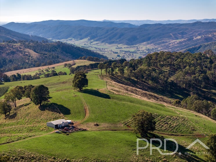 Click to view all images 1-65 Forsters Road Batlow NSW 2730 - Image 1