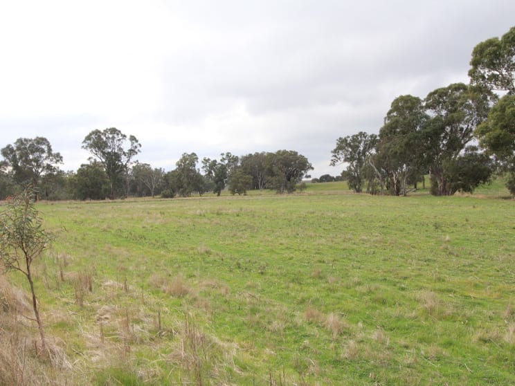 Lot 6 Mia-Mia Derrinal Road Heathcote VIC 3523 - Image 2