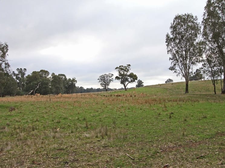 Lot 6 Mia-Mia Derrinal Road Heathcote VIC 3523 - Image 3