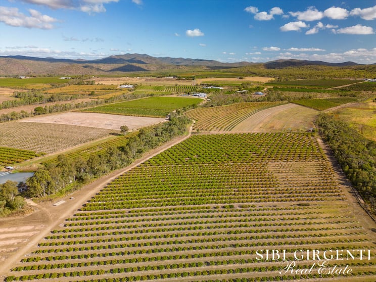 Click to view all images 111 McLeod Road Mutchilba QLD 4872 - Image 2
