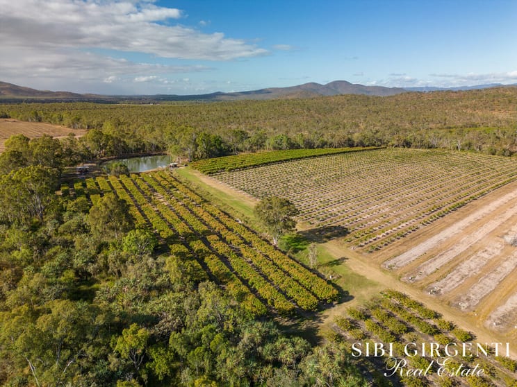 Click to view all images 111 McLeod Road Mutchilba QLD 4872 - Image 3