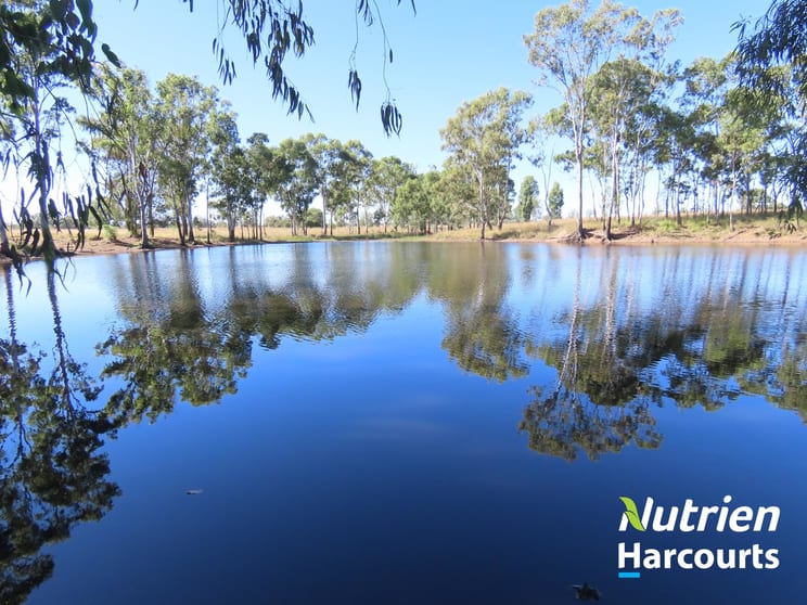 Click to view all images 285 Burncluith Road Chinchilla QLD 4413 - Image 3