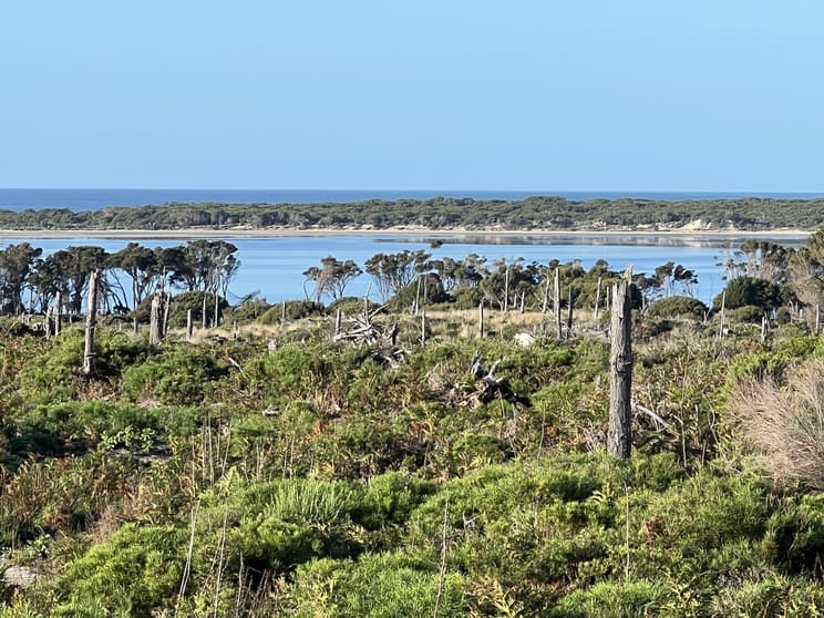 Click to view all images Lot 5 North East River Road Palana TAS 7255 - Image 2