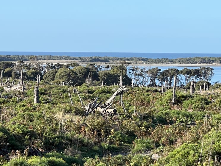 Click to view all images Lot 5 North East River Road Palana TAS 7255 - Image 3