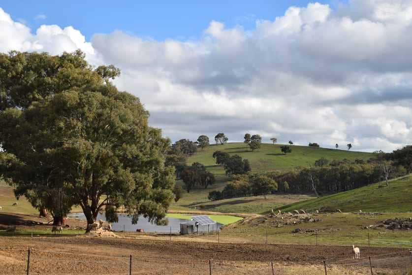 Click to view all images 'Morella' 1257 Bundalah Road Euchareena NSW 2866 - Image 1