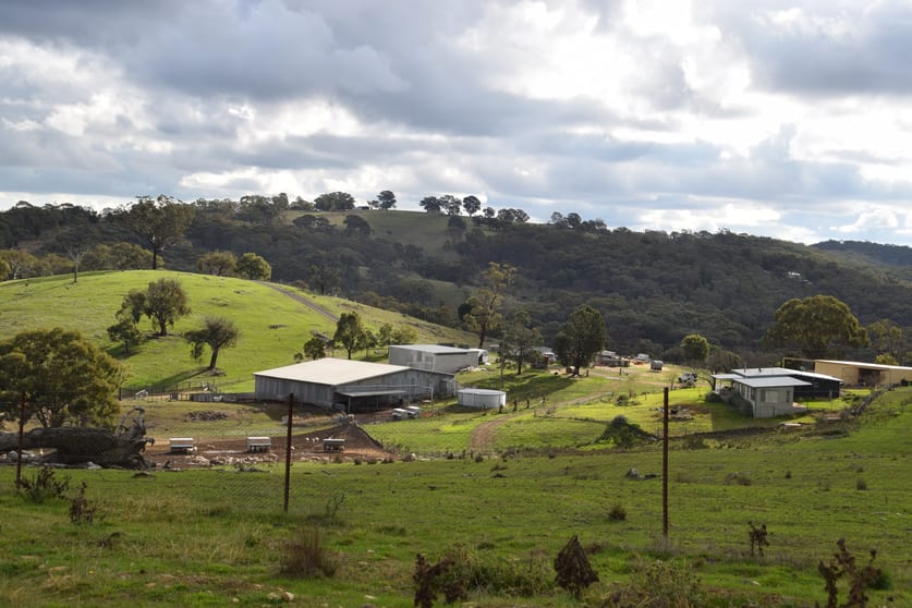 Click to view all images 'Morella' 1257 Bundalah Road Euchareena NSW 2866 - Image 2