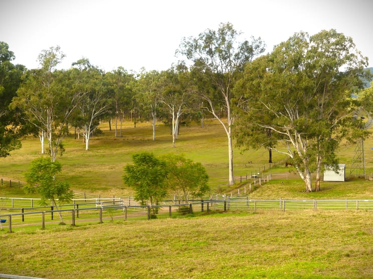 'Little J Farm' 87 Charlwood Road Aratula QLD 4309 - Image 2