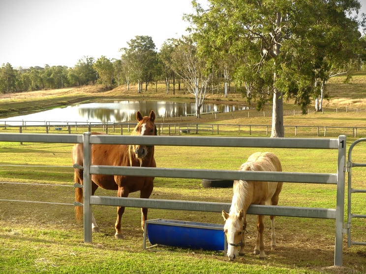 'Little J Farm' 87 Charlwood Road Aratula QLD 4309 - Image 1