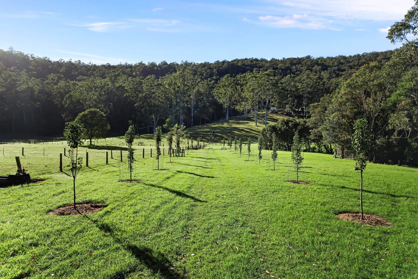 Click to view all images 255 Brush Creek Road Cedar Brush Creek NSW 2259 - Image 1