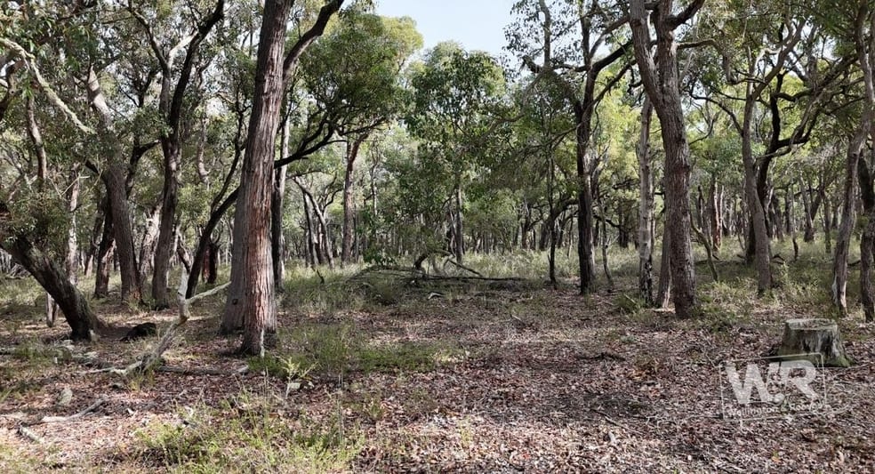 Click to view all images Lot 102 Woodlands Road Narrikup WA 6326 - Image 2