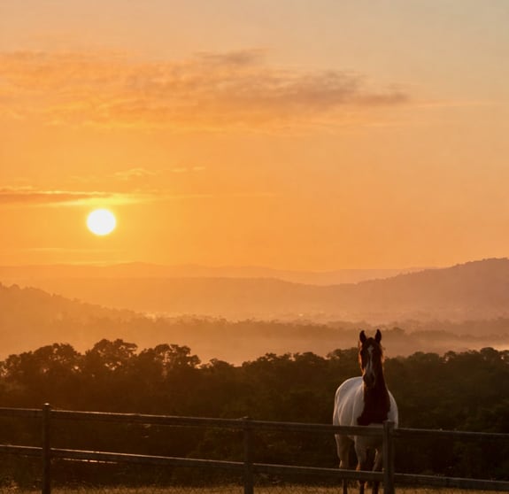 Click to view all images 448 Koch Road Frazerview QLD 4309 - Image 2