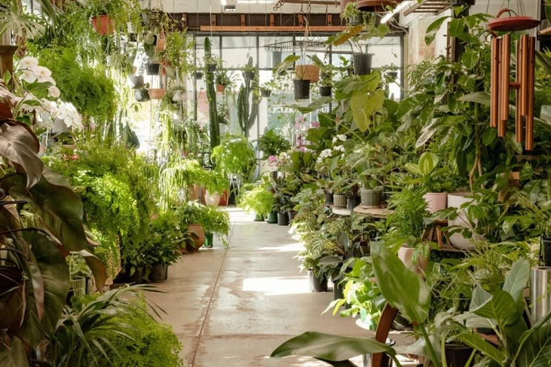 Click to view all images Nursery business for sale in Fitzroy - Image 1