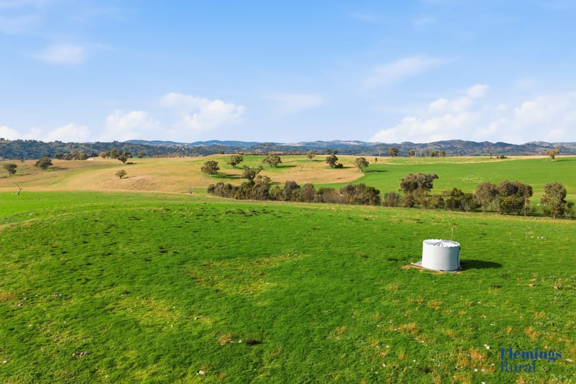 393 Battery Road Cowra NSW 2794 - Image 2