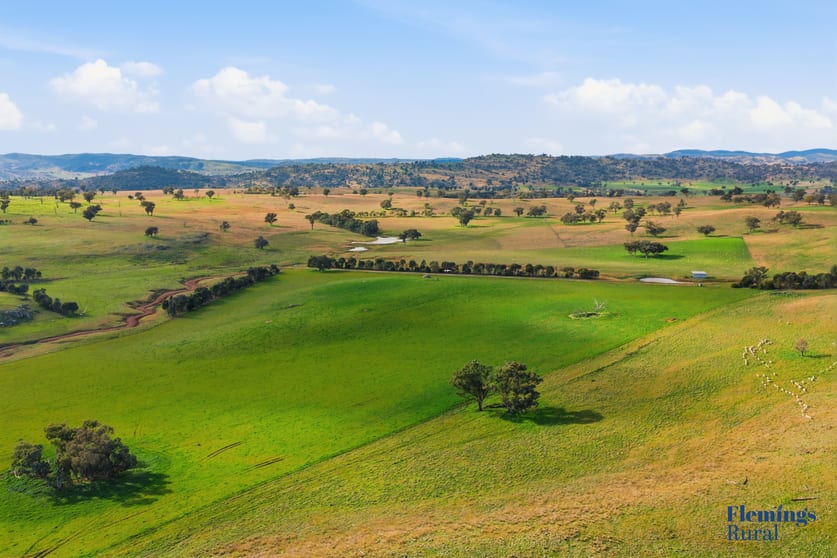 393 Battery Road Cowra NSW 2794 - Image 3
