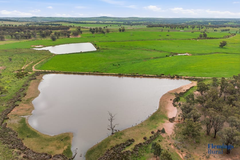 Click to view all images 8761 Henry Parkes Way Parkes NSW 2870 - Image 1