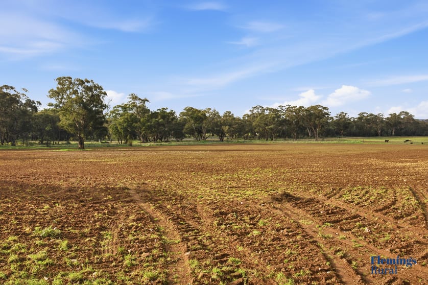 Click to view all images 8761 Henry Parkes Way Parkes NSW 2870 - Image 2