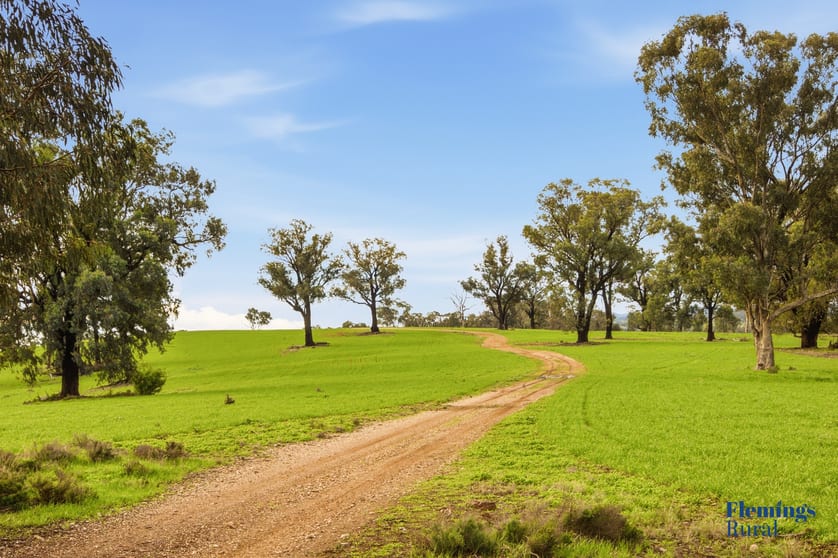 Click to view all images 8761 Henry Parkes Way Parkes NSW 2870 - Image 3