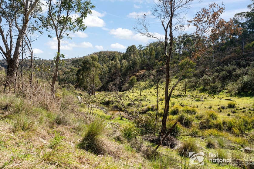 470 Green Gully Road Mudgee NSW 2850 - Image 3