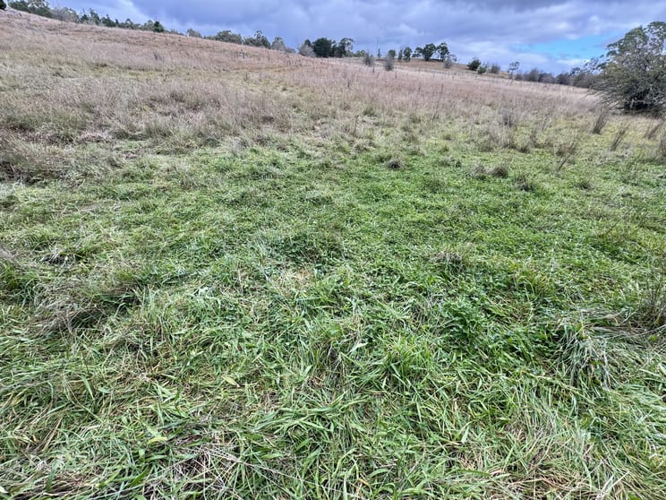 496 Inverary Road Bungonia NSW 2580 - Image 3