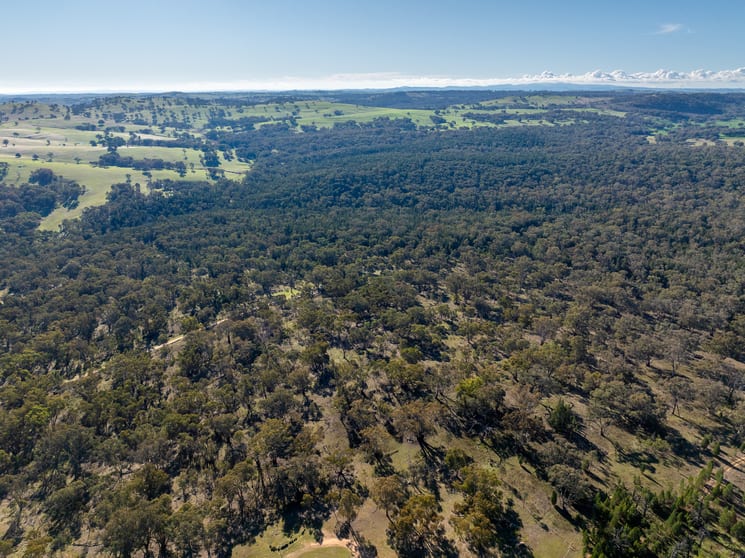 Click to view all images Lot 1, 244 Cobb Drive Woodstock NSW 2793 - Image 3
