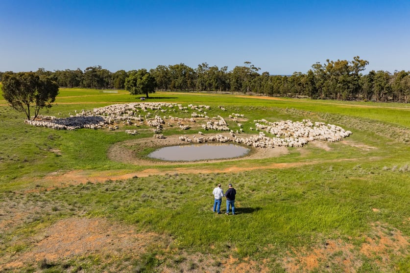Click to view all images 1147 Kamarah Road Narrandera NSW 2700 - Image 3