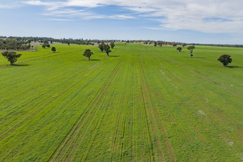 Click to view all images 25 Kamarah Road Narrandera NSW 2700 - Image 3