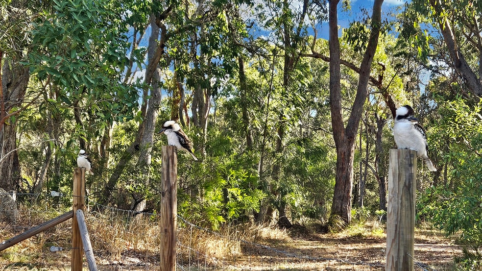 Click to view all images 91 Reason Lane Applethorpe QLD 4378 - Image 1