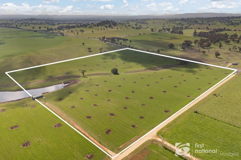 Click to view all images 46 Shiraz Drive Gulgong NSW 2852 - Image 2