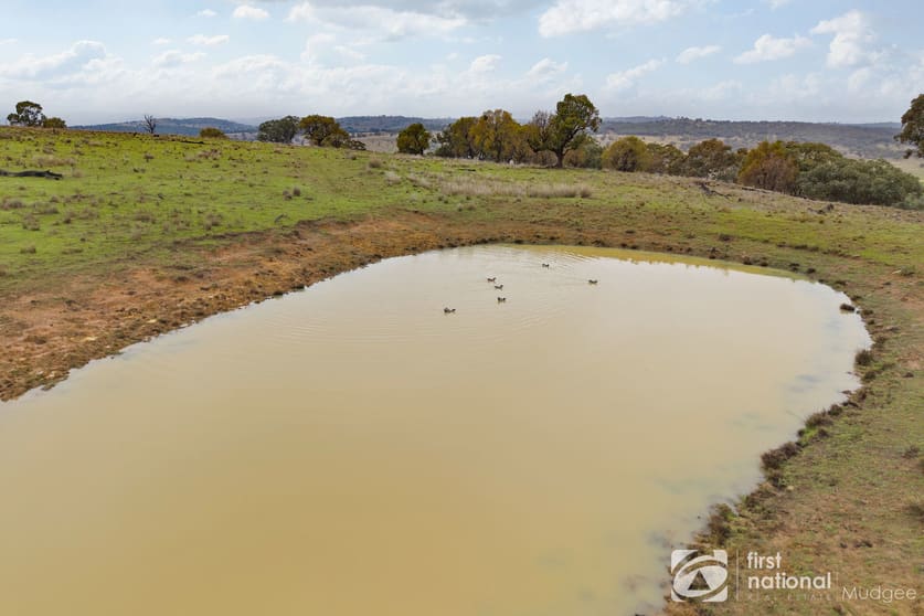 2779 Black Stump Way Coolah NSW 2843 - Image 2