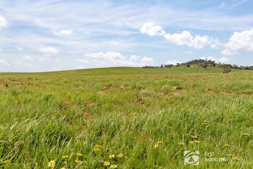 Click to view all images 70 Shiraz Drive Gulgong NSW 2852 - Image 2