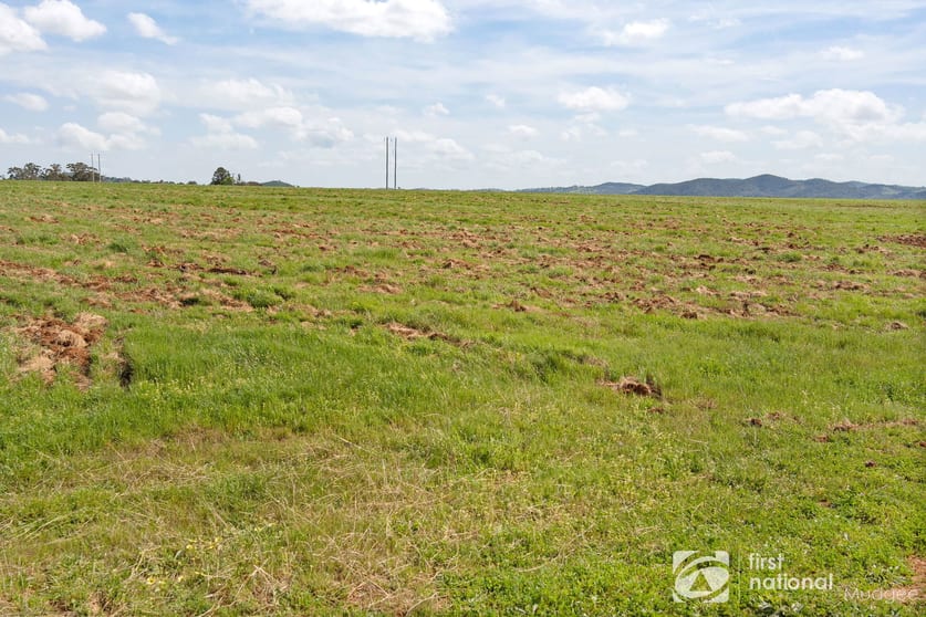 Click to view all images 70 Shiraz Drive Gulgong NSW 2852 - Image 3