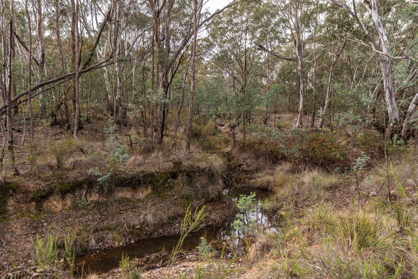 Click to view all images 2278 Burrendong Way Orange NSW 2800 - Image 3