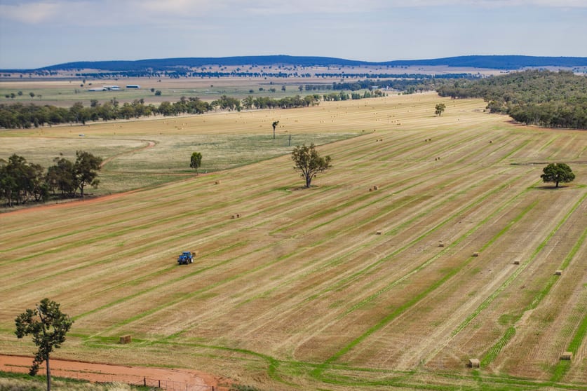 Click to view all images 289 Kamarah Road Narrandera NSW 2700 - Image 3