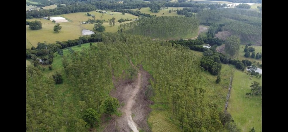 Click to view all images Lot 1332 South Bank Road Eungai Rail NSW 2441 - Image 3