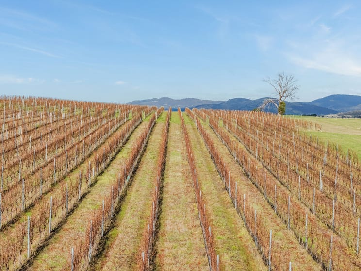 Click to view all images 14 Brownwood Estate Road Campania TAS 7026 - Image 3