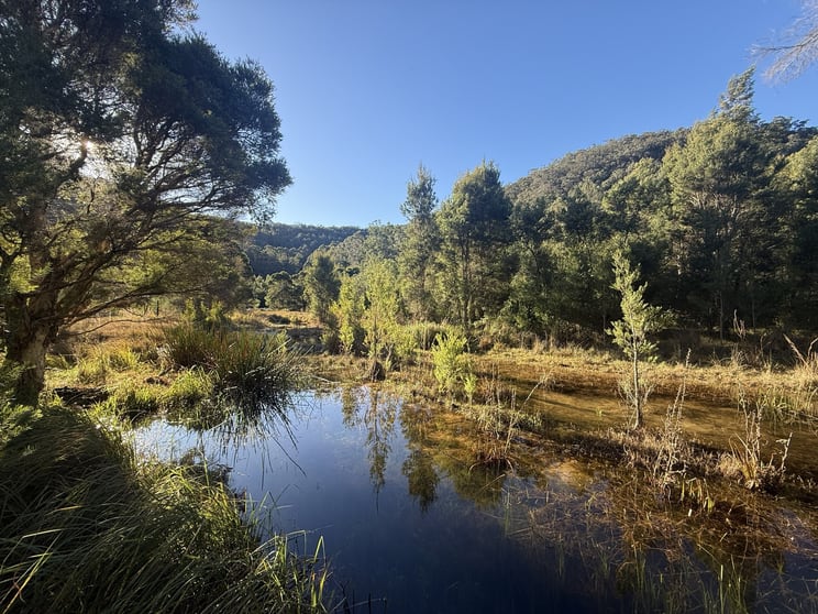 Click to view all images 256 Olney Arm Road Laguna NSW 2325 - Image 3