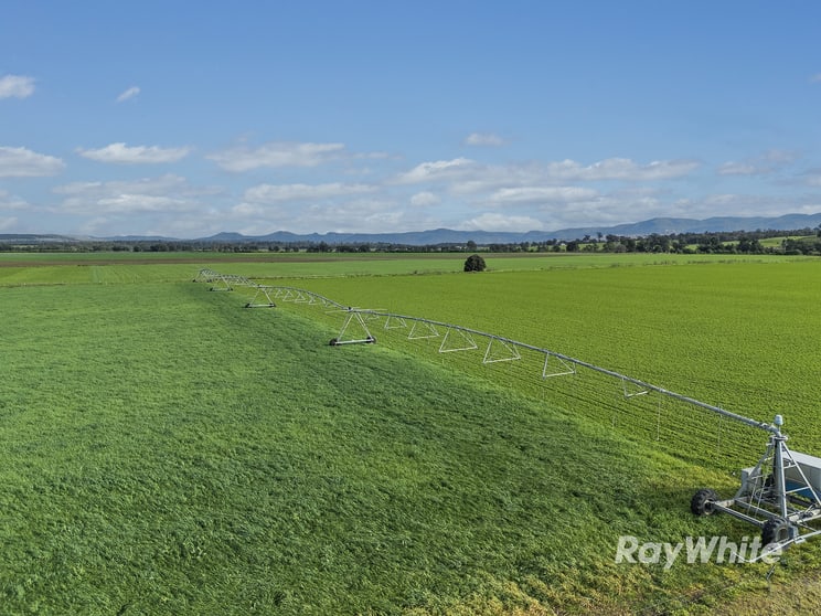 Click to view all images 83 Knodlers Lane, Maison Dieu Singleton NSW 2330 - Image 3