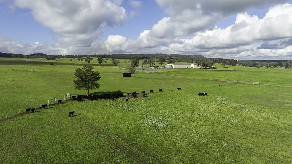 Click to view all images 390 Westwood Road Merriwa NSW 2329 - Image 3