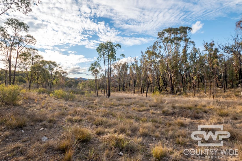 140 Dellwood Road Deepwater NSW 2371 - Image 2