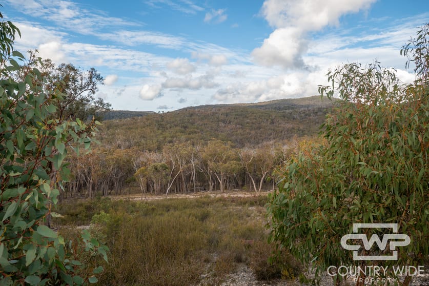 140 Dellwood Road Deepwater NSW 2371 - Image 3