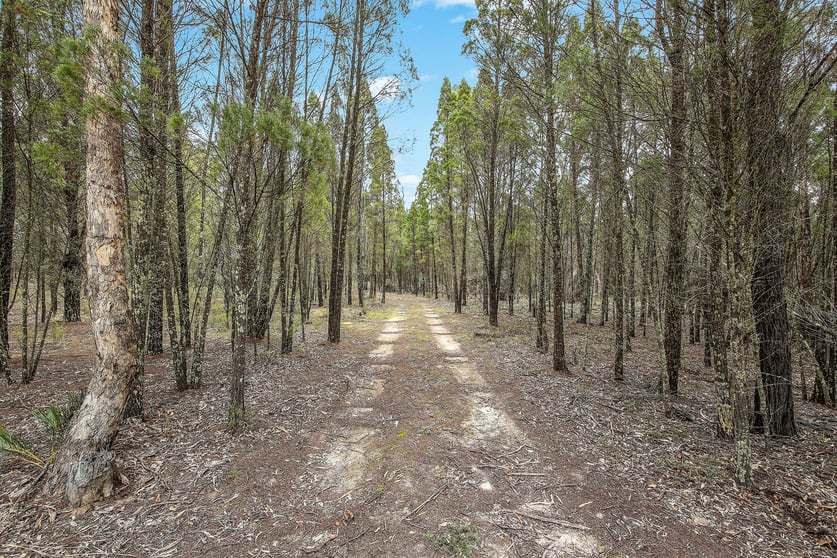 Click to view all images 1393 Spring Creek Road Mudgee NSW 2850 - Image 2