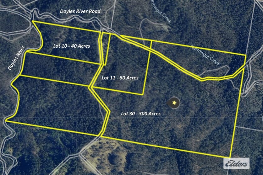1280 Doyles River Road Bulga Forest NSW 2429 - Image 1