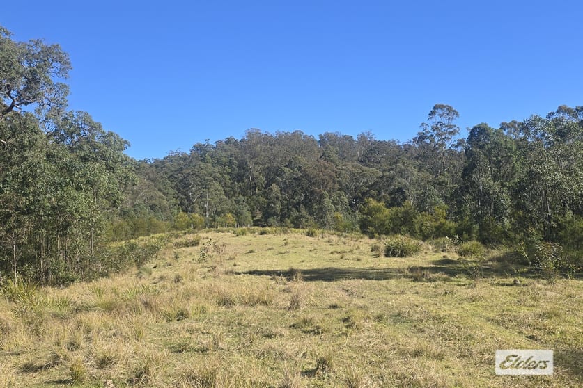 1280 Doyles River Road Bulga Forest NSW 2429 - Image 3